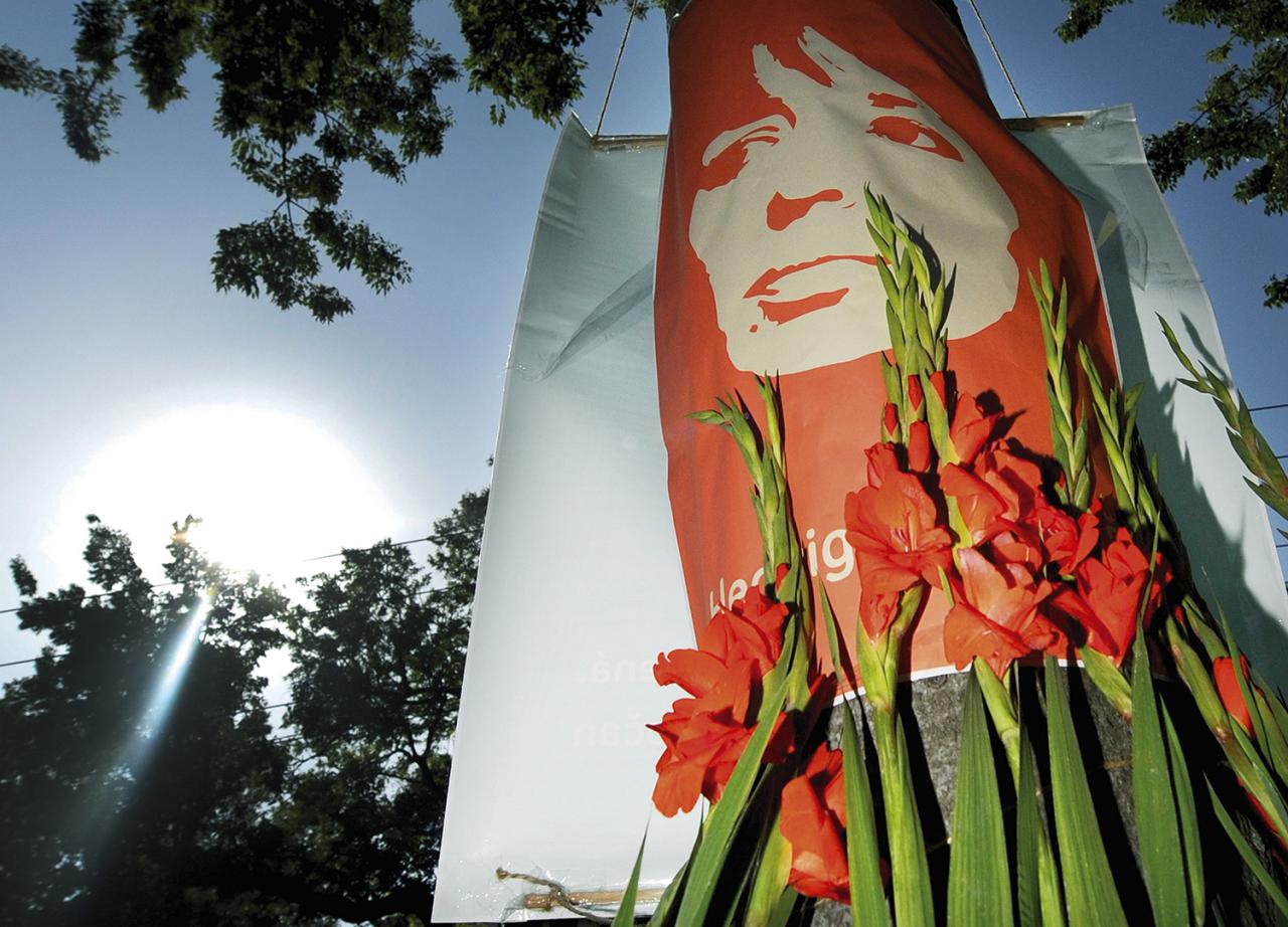 Téma .týždňa: Hedviga – 20 rokov po