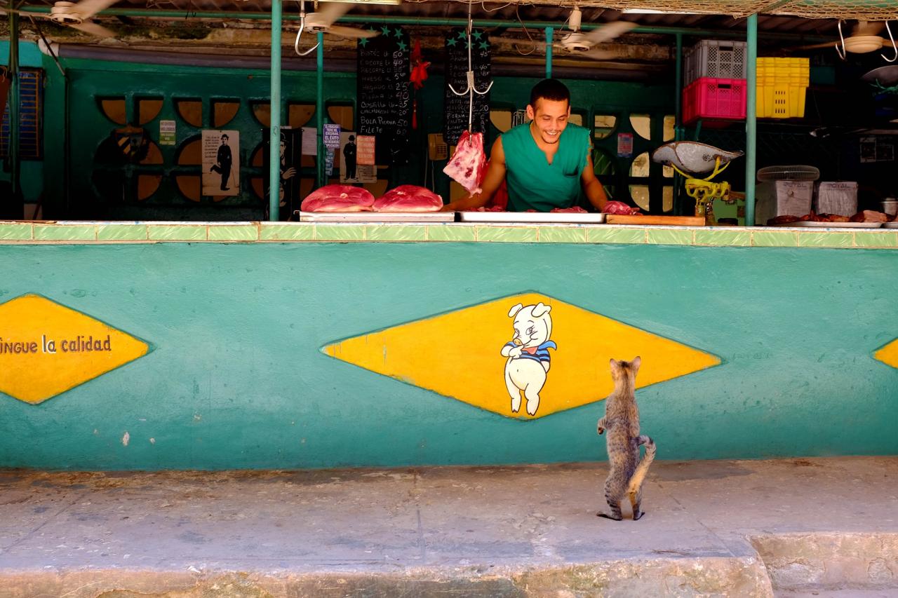 BUBO cestovanie: Kuba