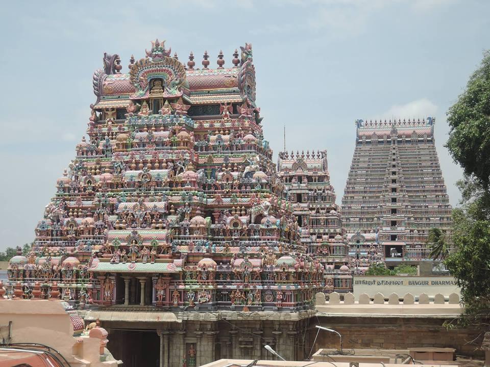 BUBO cestovanie - India