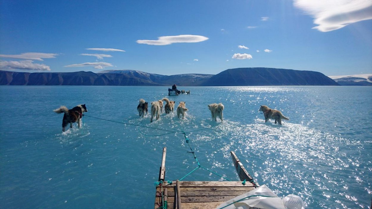 Psy bežia po vode a lovci presadajú zo saní do člnov. Grónsko je ako mraznička s otvorenými dverami
