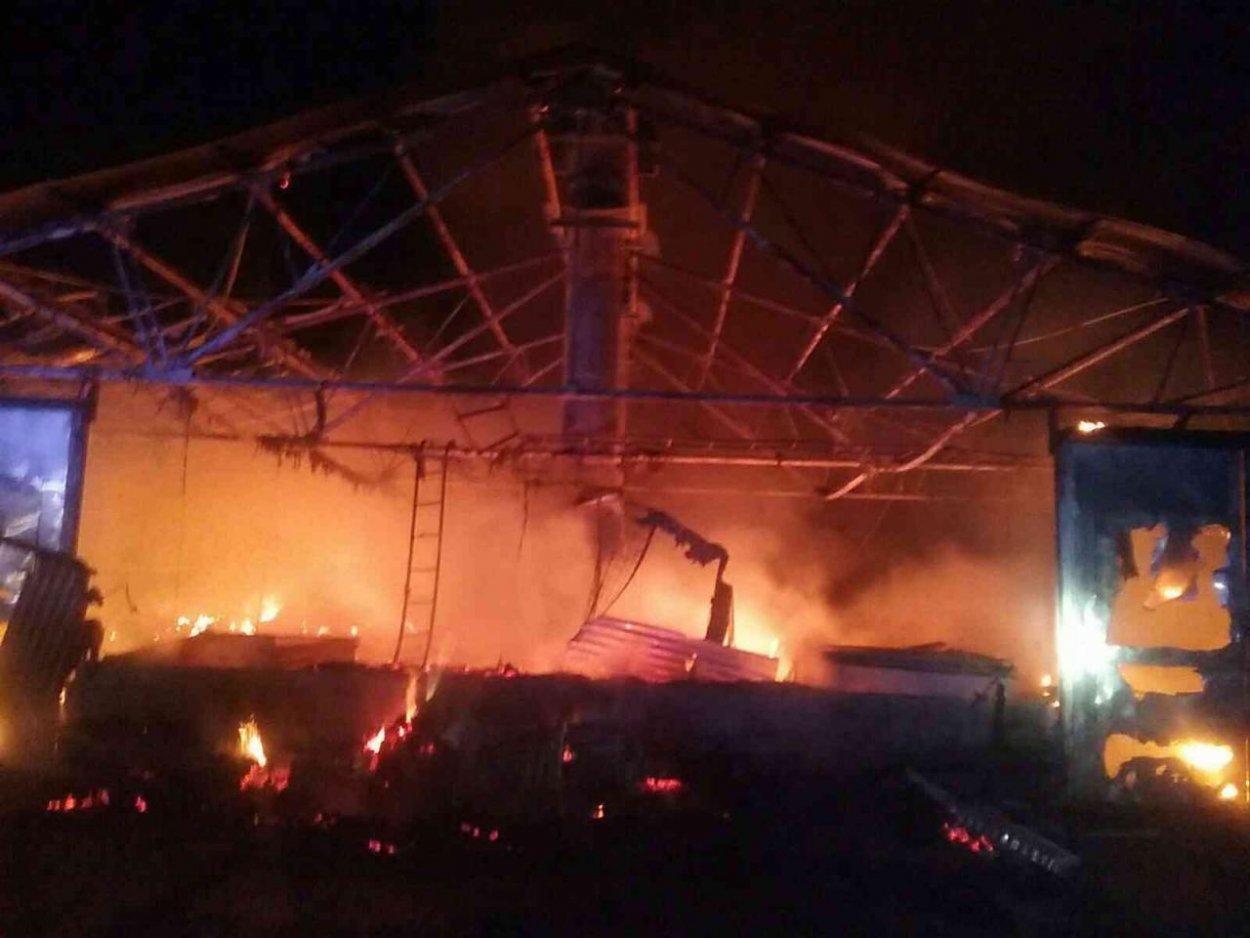 Hasiči zasahujú pri požiari v Nitre, zahynulo asi 6000 kusov hydiny