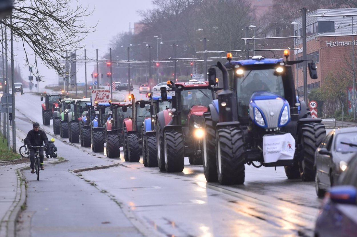 Dánski farmári protestovali proti vládnemu nariadeniu vyhubiť všetky norky