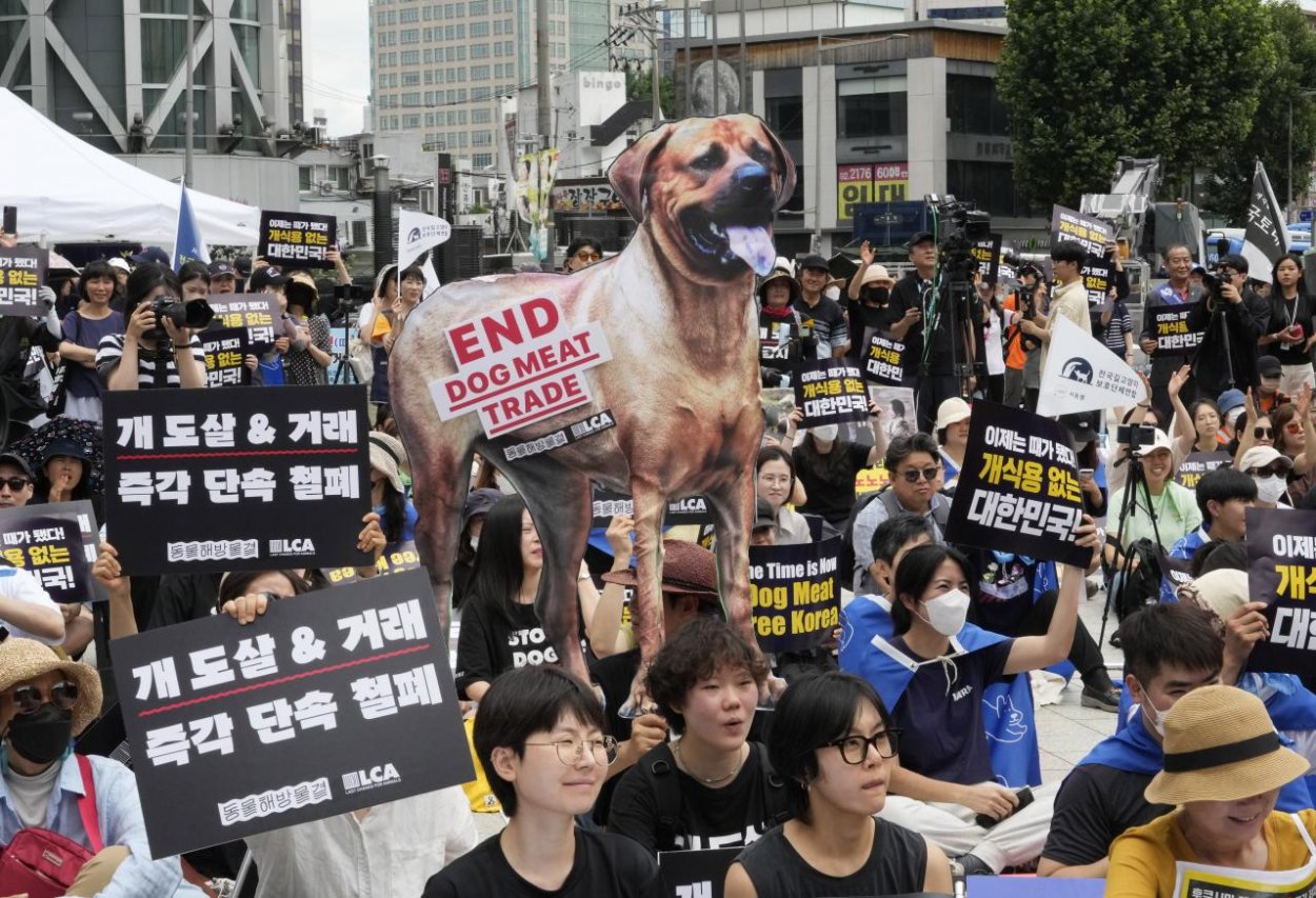 Juhokórejský parlament schválil zákon zakazujúci obchodovanie so psím mäsom