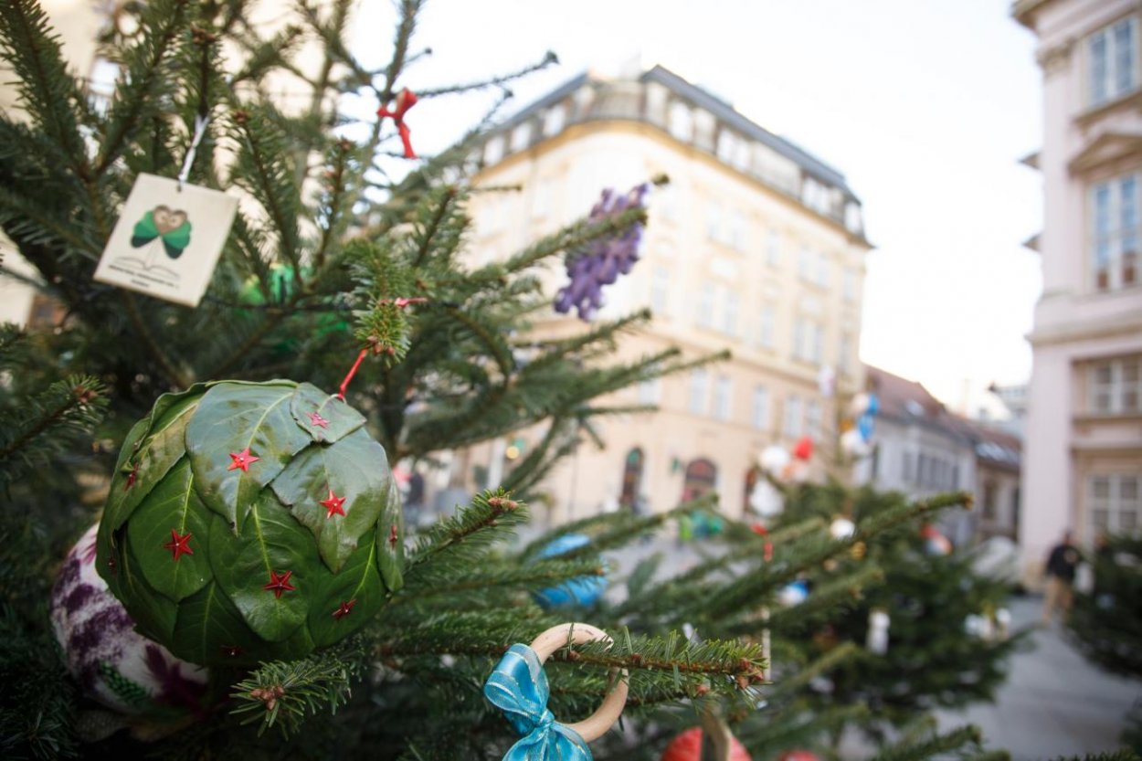 Slovenskí lesníci začínajú predávať vianočné stromčeky, niektoré darujú