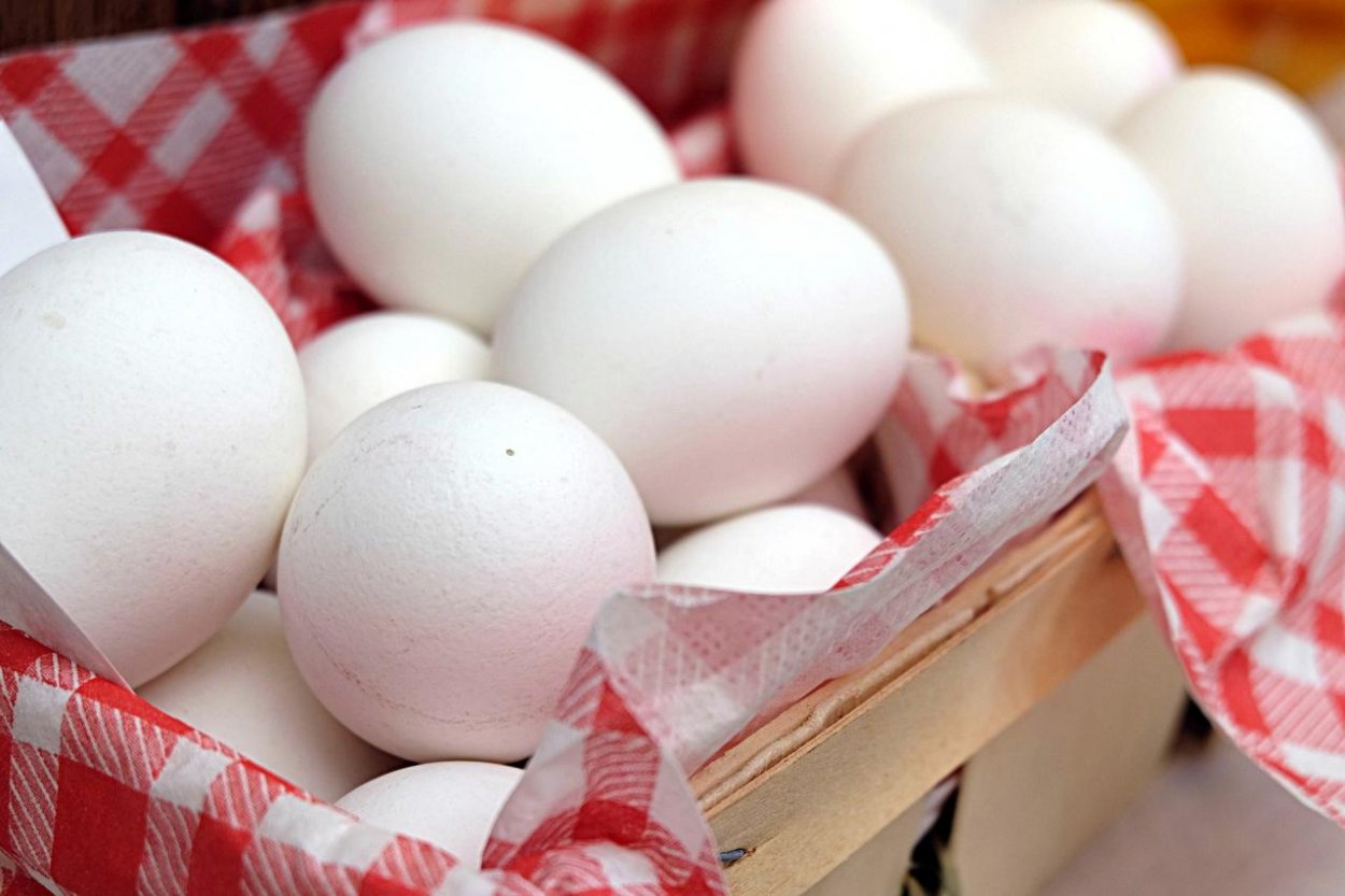 PRIESKUM: Chceme kupovať čerstvé a kvalitné vajcia zo Slovenska