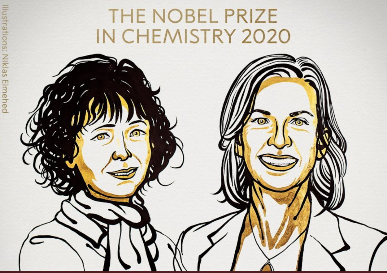 Nobelovu cenu za chémiu 2020 udelili za vývoj metódy na úpravu génov