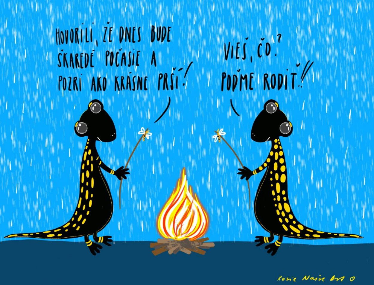 Rosie Naive Art: Prosím, pomôžme salamandrám nezomrieť