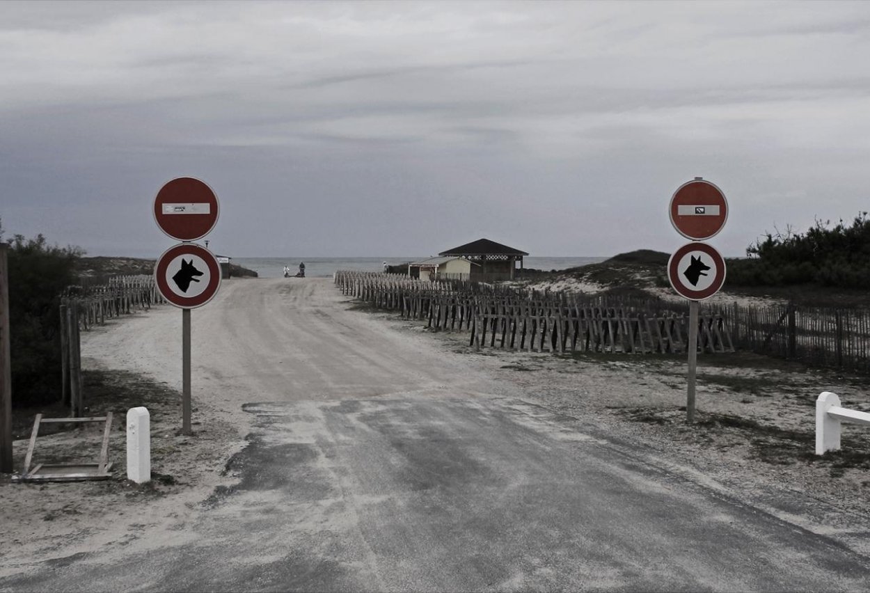 Zastavte sa (Aké fotografie vystavuje spisovateľ Michel Houellebecq v Bratislave?)