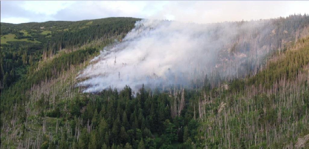 Podľa lesníkov je dôvodom požiaru v Bystrej nespracovaná kalamita