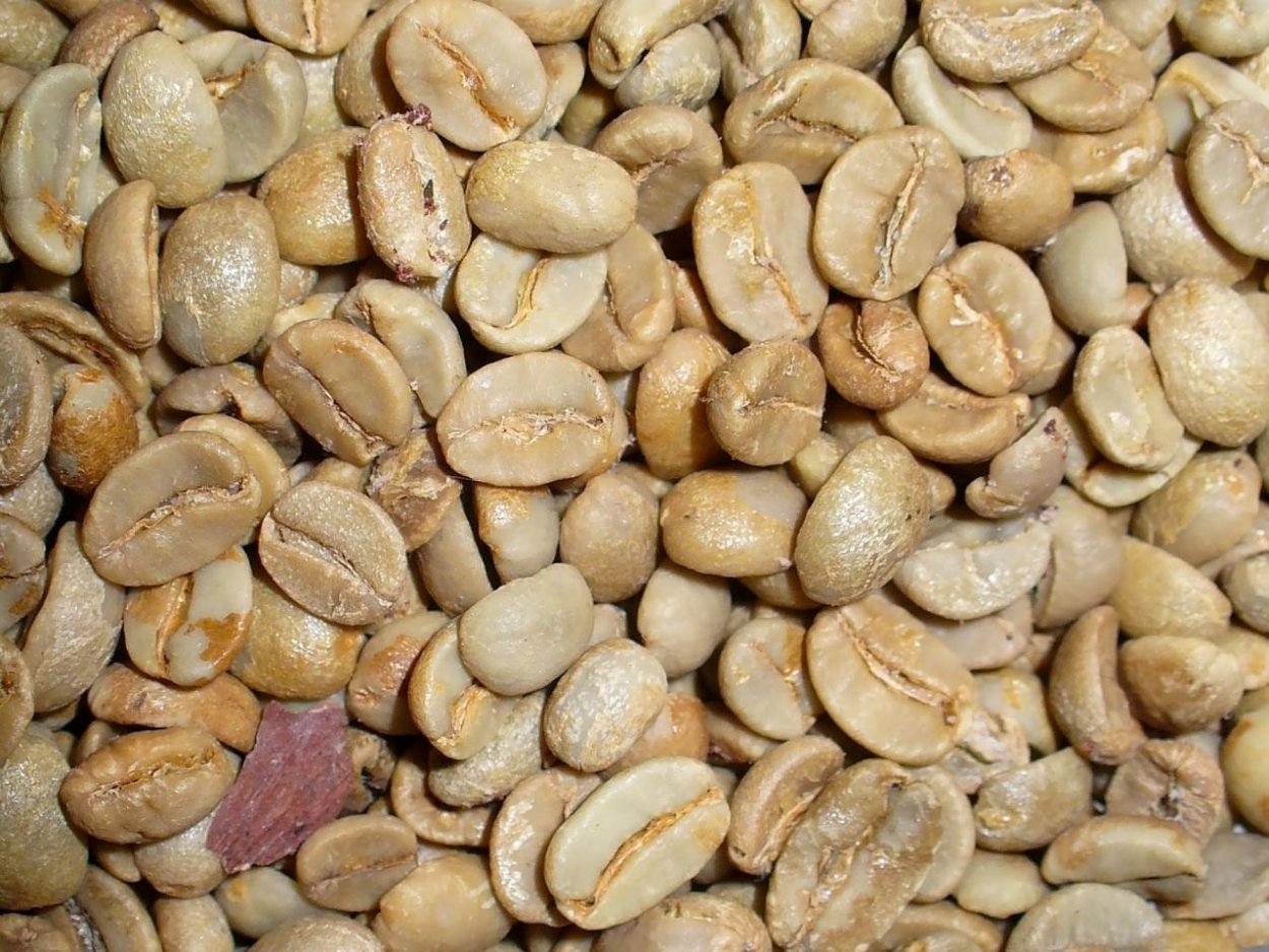Vo svete ubudne viac ako polovica oblastí vhodných na pestovanie kávy