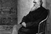 .zvedochtivé čítanie: Mýty a nepresnosti o Darwinovi