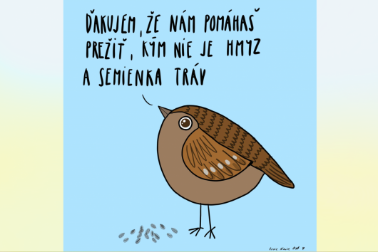 Rosie Naive Art: Zimné prikrmovanie vtáctva