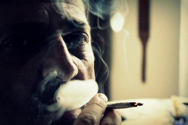 Dve tretiny cigaretových ohorkov skončia mimo koša. Vo Švédsku na zber ohorkov využívajú vrany