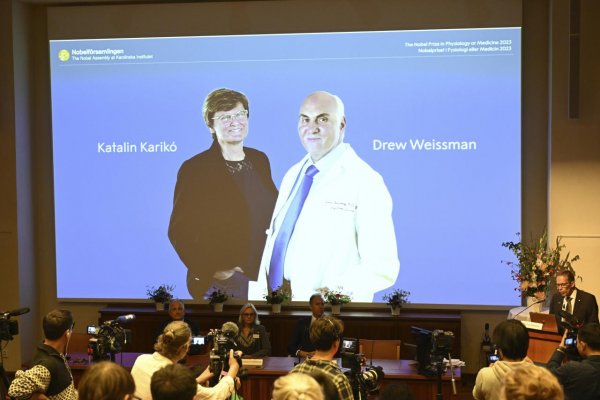 Nobelovu cenu za fyziológiu alebo medicínu získali Katalin Karikó a Drew Weissman