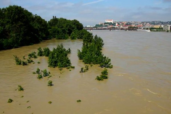 Dunaj v Bratislave dnes na poludnie