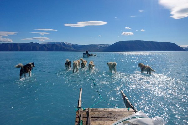 Psy bežia po vode a lovci presadajú zo saní do člnov. Grónsko je ako mraznička s otvorenými dverami