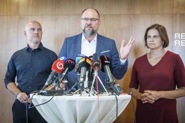 Podľa Gröhlinga ide SaS na koaličné rokovanie s nezmeneným postojom