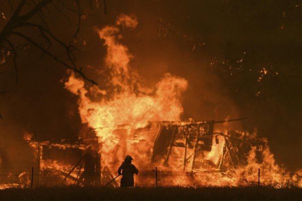 Austrália v plameňoch. Fototéma z extrémnych požiarov