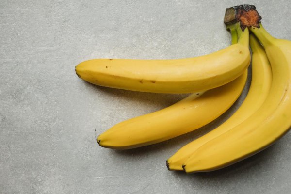Takmer 650 kilogramov kokaínu nájdeného v Česku medzi banánmi skončí v spaľovni