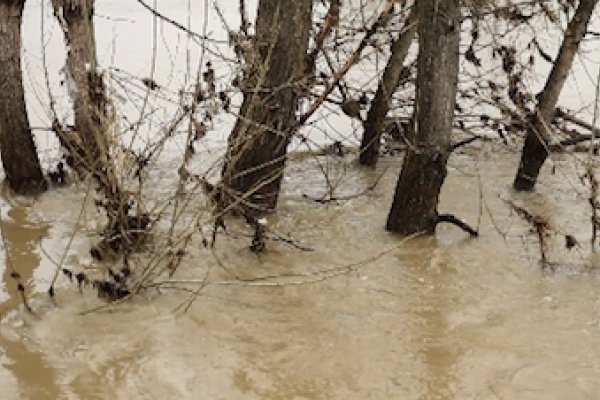 Na dolnej Nitre stále hrozia záplavy