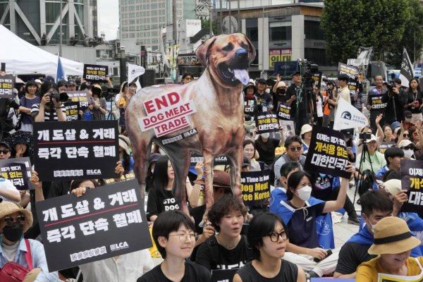 Juhokórejský parlament schválil zákon zakazujúci obchodovanie so psím mäsom