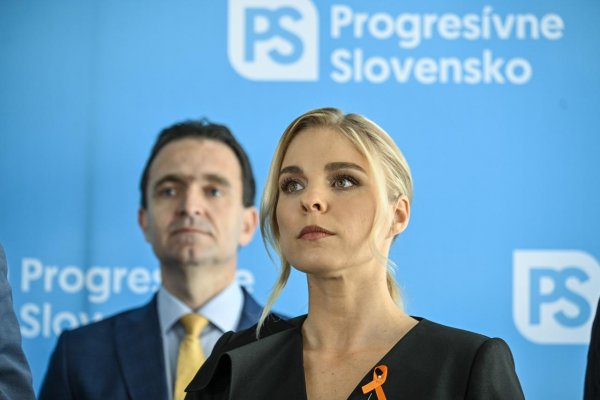 Slovenských europoslancov nie je možné voliť zo zahraničia