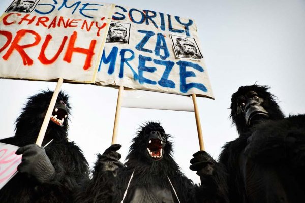 Opozícia chce oživiť vyšetrovanie Gorily
