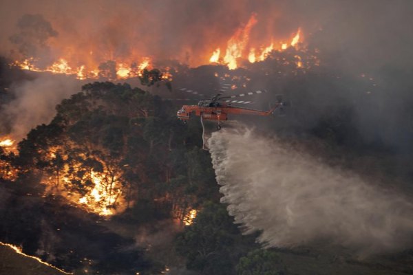 Austráliu stále sužujú požiare, Nový Južný Wales vyhlásil núdzový stav