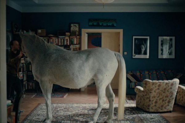 .týždeň vo filme: Kôň v paneláku, poľský art aj nemecký gýč