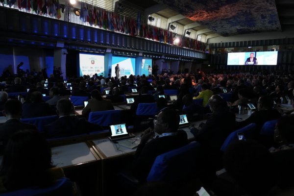 Agentúry OSN zvolali do Ríma samit o potravinovej bezpečnosti