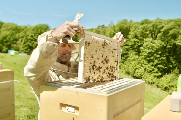 Marius Pedersen prináša život na skládky a podporuje ochranu včiel