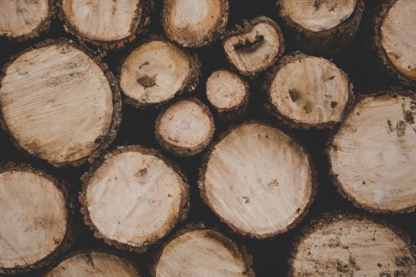 Slovenské domácnosti vykurujú najmä drevom, do ovzdušia vypustia milióny ton emisií