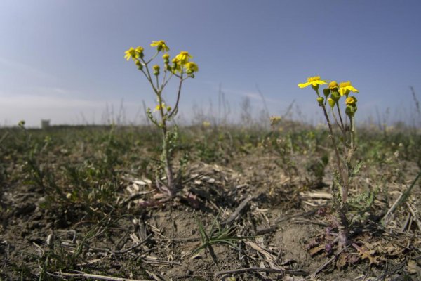 Česká republika čelí najväčšiemu suchu za posledných 500 rokov