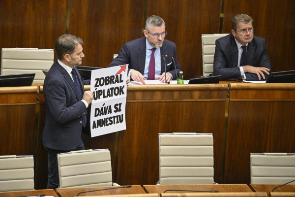 .týždeň v parlamente: Ficove amnestie, filozof Boris Susko a korupčník Immanuel Kant