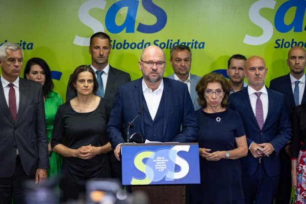 Štefan Hríb: SaS urobila správne rozhodnutie