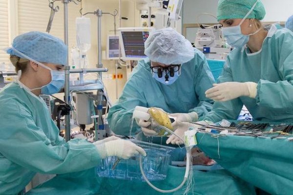 V Česku prvýkrát transplantovali srdce