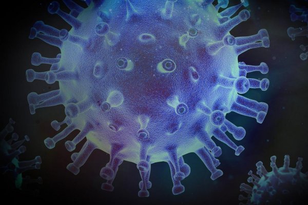 Všetko o koronavíruse – vznik, príznaky, šírenie