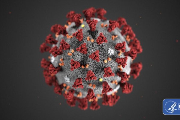 Francúzsko hlási prvú obeť koronavírusu v Európe