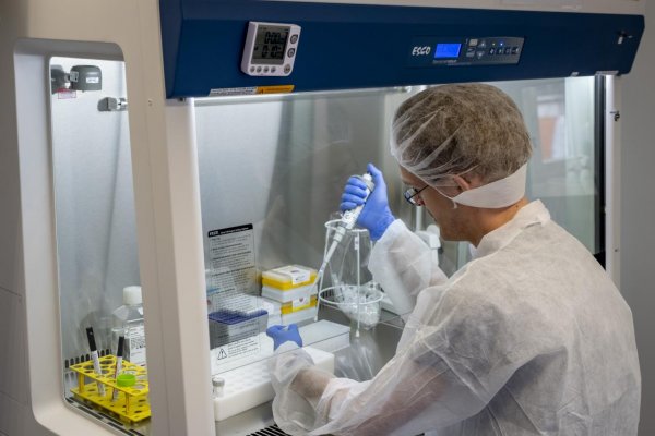 Čínski vedci objavili nový druh prasacej chrípky, ktorý môže spôsobiť pandémiu 