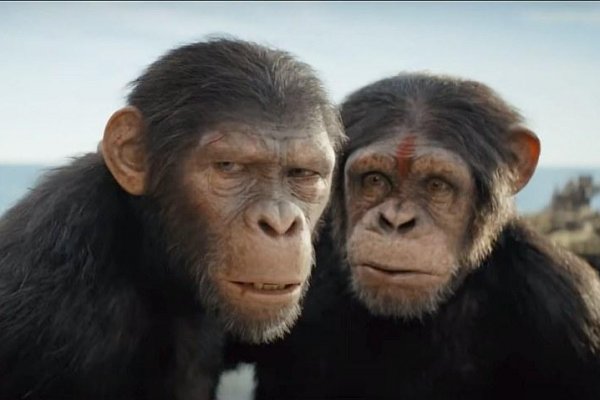 .týždeň vo filme: Planéta opíc, karty smrti aj sociálna dráma