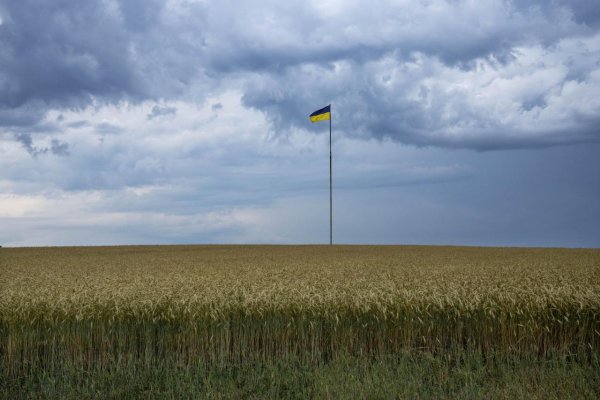 Slovensko dočasne pozastaví dovoz obilia a ďalších vybraných produktov z Ukrajiny