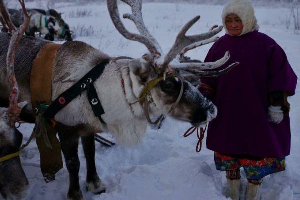 BUBO cestovanie: Sibír - najexotickejšie kmene
