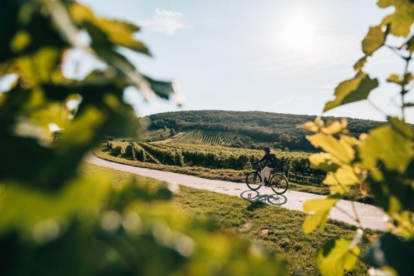 6 najkrajších oblastí v Dolnom Rakúsku, do ktorých sa oplatí vyraziť na cyklistiku